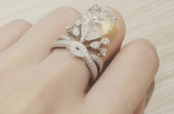 娱乐圈钻戒,娱乐圈钻戒背后的爱情故事